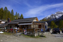 Adleralm in Südtirol
