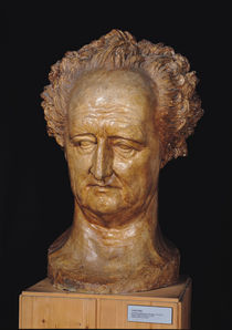 Bust of Johann Wolfgang von Goethe  by Pierre Jean David d'Angers
