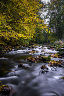 Idylle am Fluß, Herbst in der Georgewitzer Skala 1 von Holger Spieker