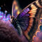 Beautiful-butterfly-j
