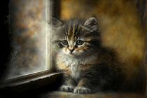 'Kätzchen, das aus dem Fenster schaut' by Eugen Wais