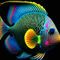 Colorful-fisch-on-black-background-h