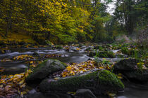 Idylle am Fluß, Herbst in der Georgewitzer Skala 2 by Holger Spieker