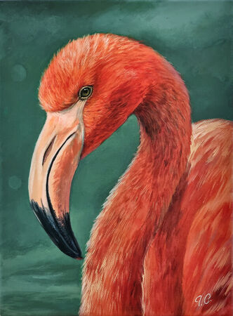 Flamingo-neu