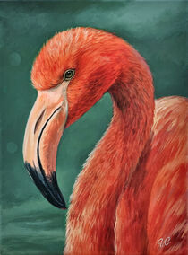 Flamingo von Isabel Conradi