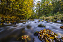 Herbstzauber an einem Fluss 1 von Holger Spieker