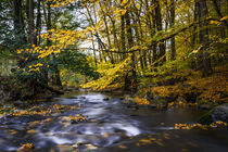 Herbstzauber an einem Fluss 2 von Holger Spieker