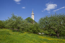 Kirche mit Blumenwiese im Frühling, Westerndorf von Torsten Krüger