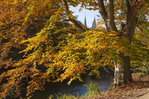 Verfärbte Bäume in den Wallanlagen im Herbst , Bremen, Deutschland, Europa von Torsten Krüger