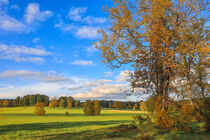 Herbstliche Landschaft im Irndorfer Hardt - Naturpark Obere Donau by Christine Horn