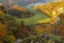 Blick vom Stiegelesfelsen auf die Donau im Herbst - Naturpark Obere Donau von Christine Horn