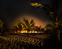 Under Stars and Palm Trees by raphotography88
