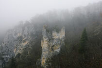 Burgruine Gebrochen Gutenstein bei dichtem Nebel - Naturpark Obere Donau by Christine Horn