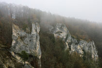 Burgruine Gebrochen Gutenstein bei Nebel - Naturpark Obere Donau by Christine Horn