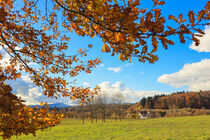 Blick in die Hegaulandschaft mit Hohenstoffeln von Eigeltingen-Homberg aus gesehen - Landkreis Konstanz von Christine Horn