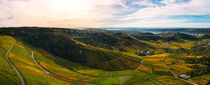 Vineyard landscape during autumn sunrise by raphotography88