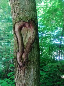 'Herzbaum' von Renate Maget