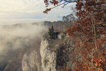 Nebelschwaden an einem Novembertag beim Eichfelsen - Naturpark Obere Donau by Christine Horn