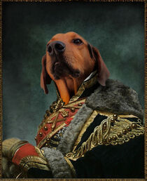 Hund Dachshund Historical Portrait as Royalty von Erika Kaisersot
