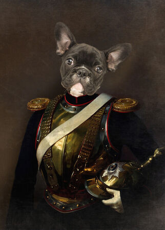 French-bulldog-dog-historical-portrait-as-royalty