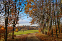 Herbstliche Landschaft bei Eigeltingen-Homberg - Landkreis Konstanz by Christine Horn