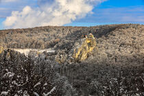 Schloss Bronnen im Winter - Naturpark Obere Donau von Christine Horn