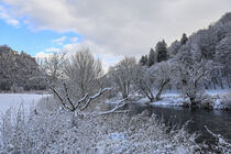'Die Donau im Winter bei Langenbrunn mit Schloss Werenwag - Naturpark Obere Donau' von Christine Horn