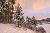 'Winterlandschaft mit verschneiten Bäumen im Abendlicht bei Bergsteig - Naturpark Obere Donau' von Christine Horn