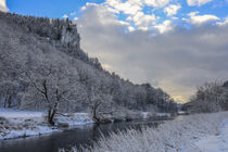 Die Donau bei Langenbrunn im Winter - Naturpark Obere Donau von Christine Horn
