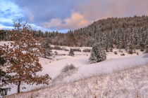 'Landschaft bei Bergsteig im Winter mit Schnee im Abendlicht - Naturpark Obere Donau' von Christine Horn