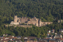 Heidelberger Schloss von Torsten Krüger
