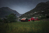 Red houses at the waterfront of Eidfjord in Norway by Bastian Linder