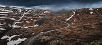 Lonesome road through the landscape of Hardangervidda National Park in Norway by Bastian Linder