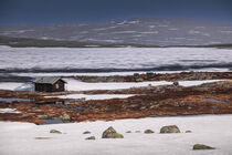 Hut at the waterfront of a frozen lake in the landscape of Hardangervidda National Park in Norway von Bastian Linder