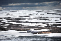 Cabins at the waterfront of a frozen lake in the landscape of Hardangervidda National Park in Norway von Bastian Linder