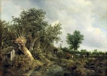 Landscape with a Hut by Jacob Isaaksz. or Isaacksz. van Ruisdael