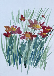 Blumenwiese von Sonja Jannichsen