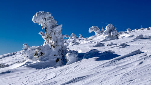 Krkonose-national-park-in-winter-and-snowy-conditions1