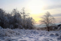 Winter in Thüringen by mario-s