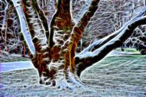 Schneebedeckter Baumstamm von Edgar Schermaul