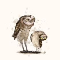 Grumpy Owl, Silly Owl von Paula  Belle Flores