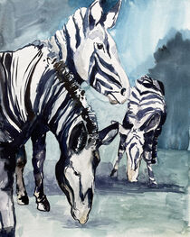 Zebras von Sonja Jannichsen