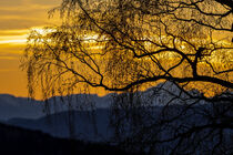 Sonnenuntergang in Kärnten. von Stephan Zaun