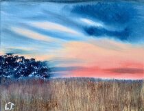 Soft Sunset by Warren Thompson