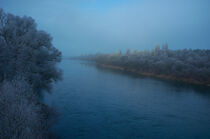Winter am Rhein von Oliver Kern
