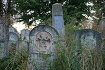 Jüdischer Friedhof Czernowitz, Ukraine 5