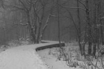 Schneebedeckter Holzbohlenweg im Schwarzen Moor von Holger Spieker