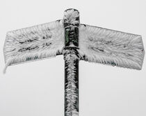 Frost in der Rhön by Holger Spieker