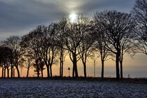 Winterbäume by Edgar Schermaul