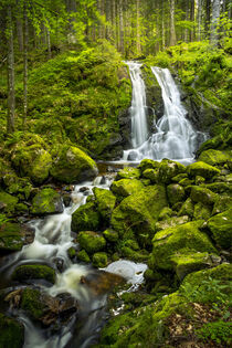 'A beautiful waterfall in the Black Forest 2' von Susanne Fritzsche